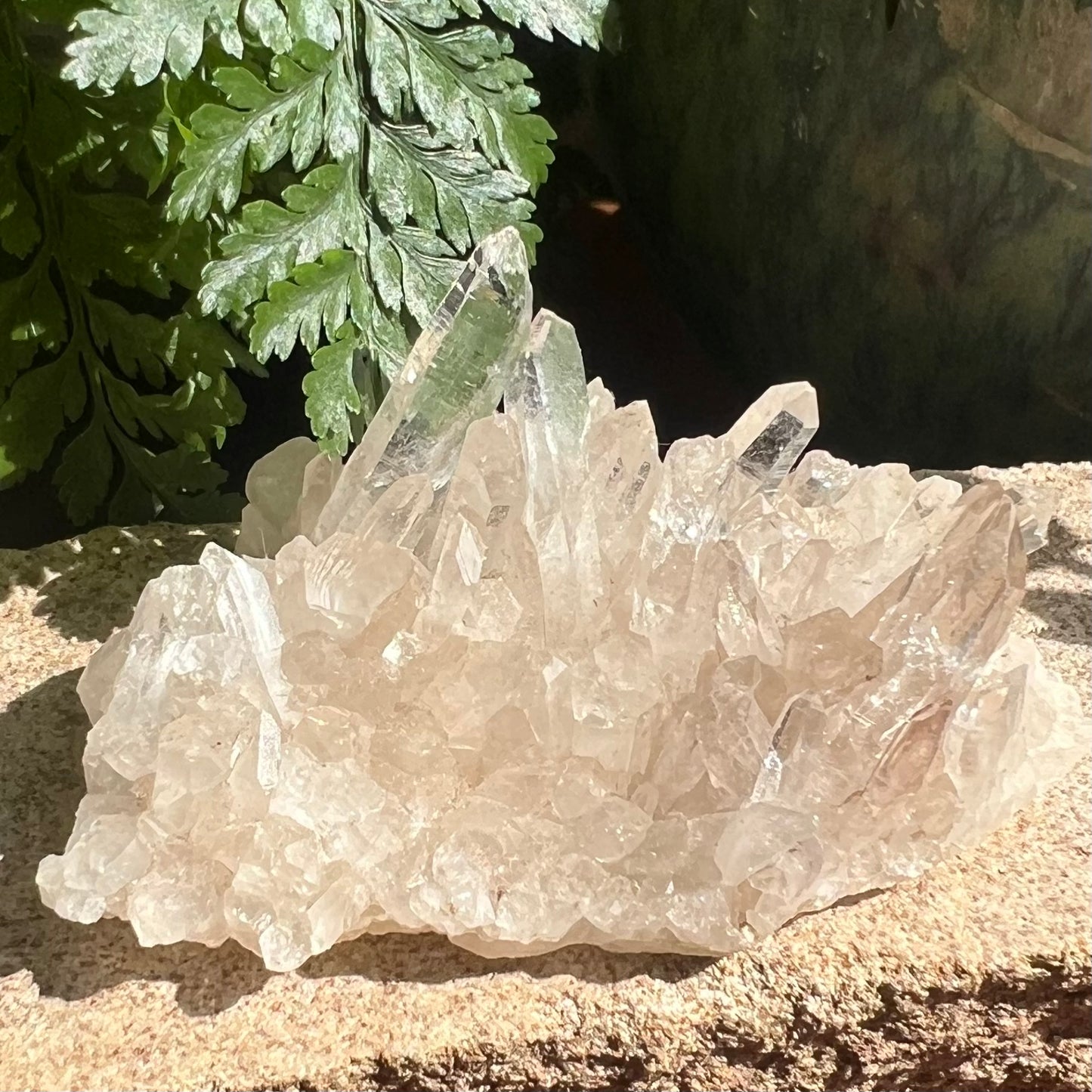 Himalayan Quartz Cluster (44g)