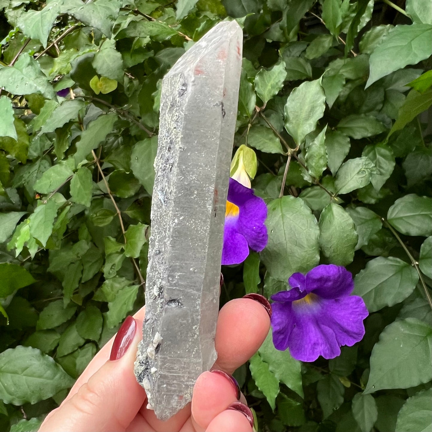 Inner Mongolian Quartz Point with Calcite, Specular Hematite, Hedenbergite and Iron Ore inclusions