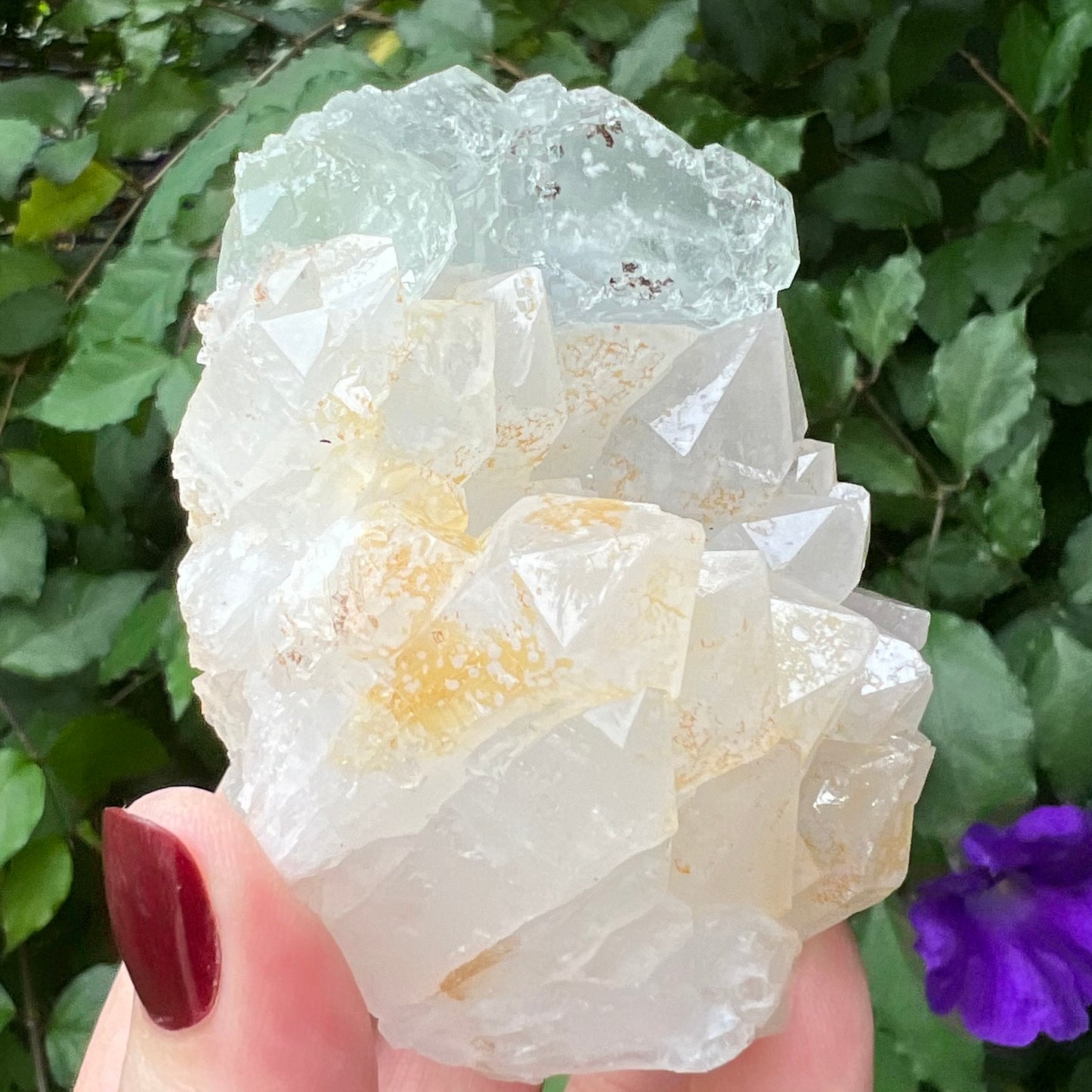 Optical Window Fluorite on chunky Quartz Cluster with golden Hematite