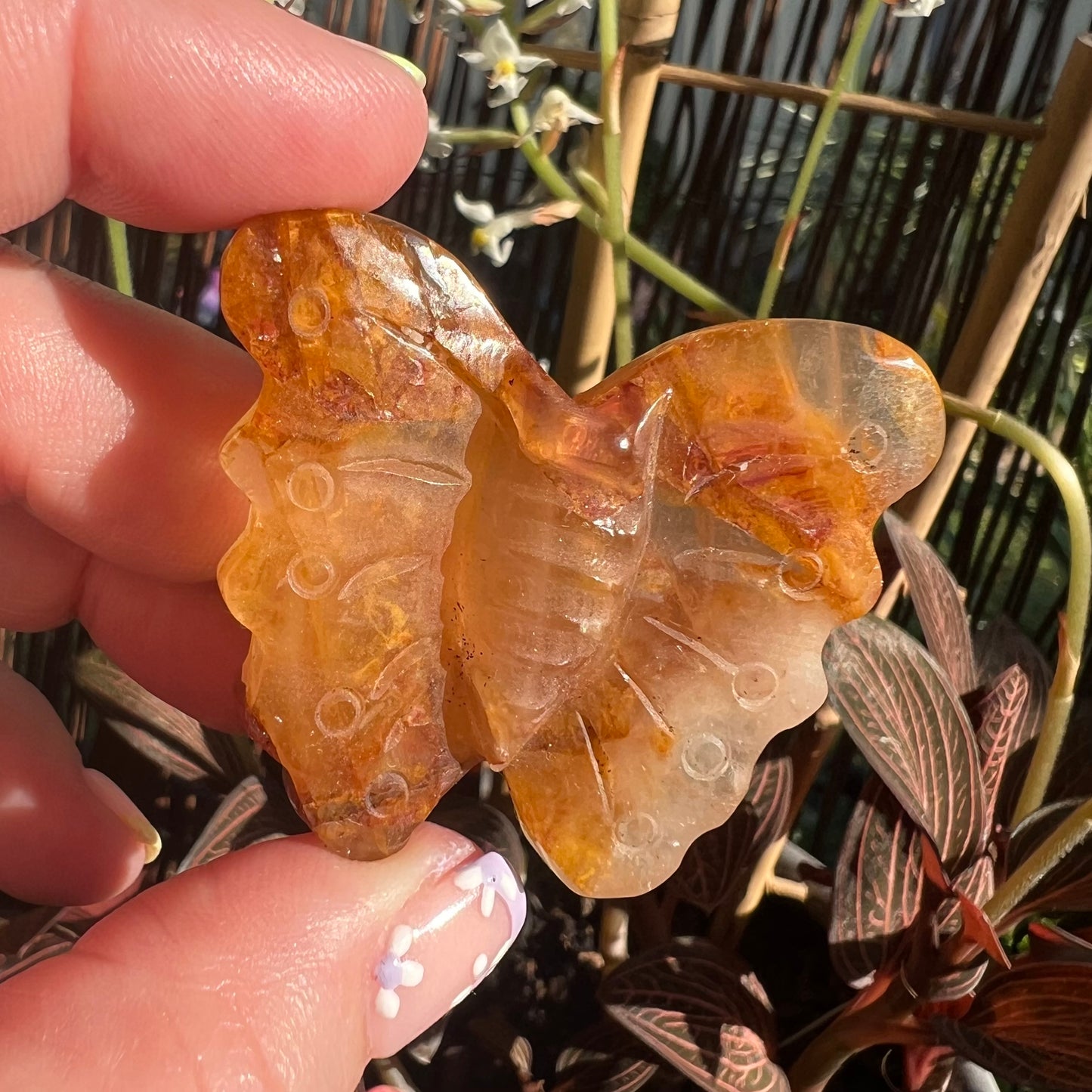 Golden Healer Quartz Butterfly carving