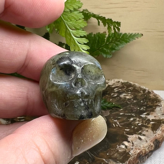 ‘Hank’ the Labradorite Skull