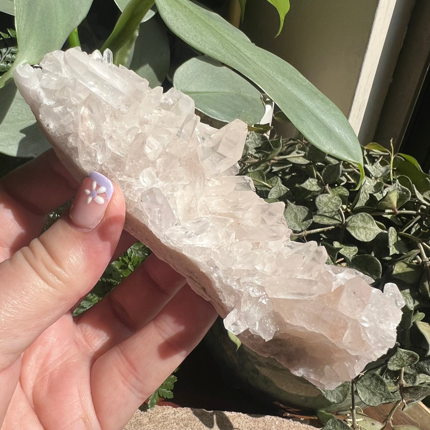Pink Himalayan Samadhi Quartz Cluster  (220g)