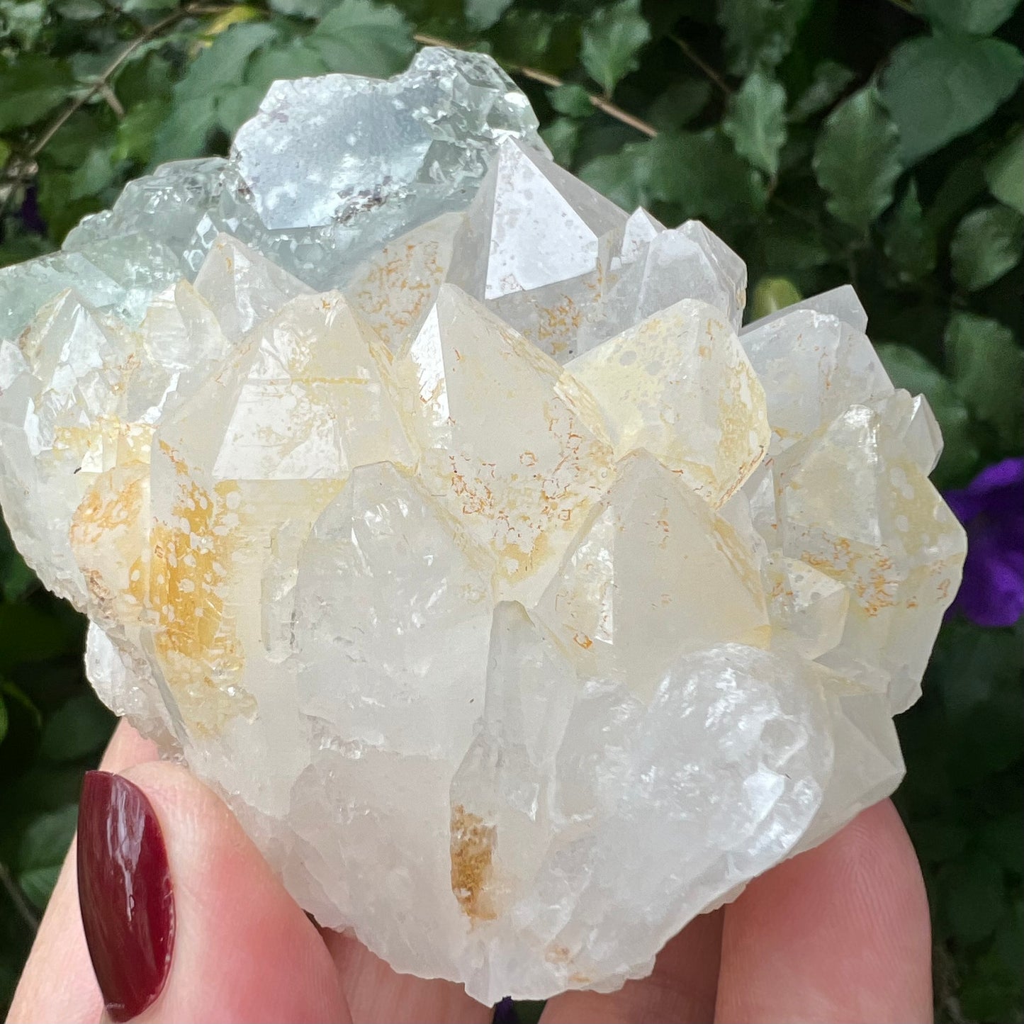 Optical Window Fluorite on chunky Quartz Cluster with golden Hematite