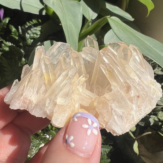 Golden Healer Quartz Cluster - Madagascar