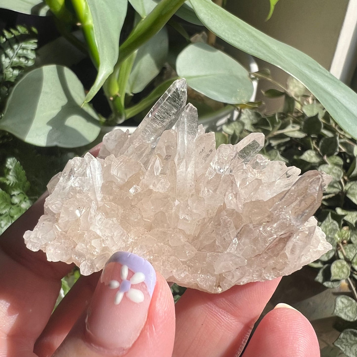 Small Himalayan Quartz Cluster