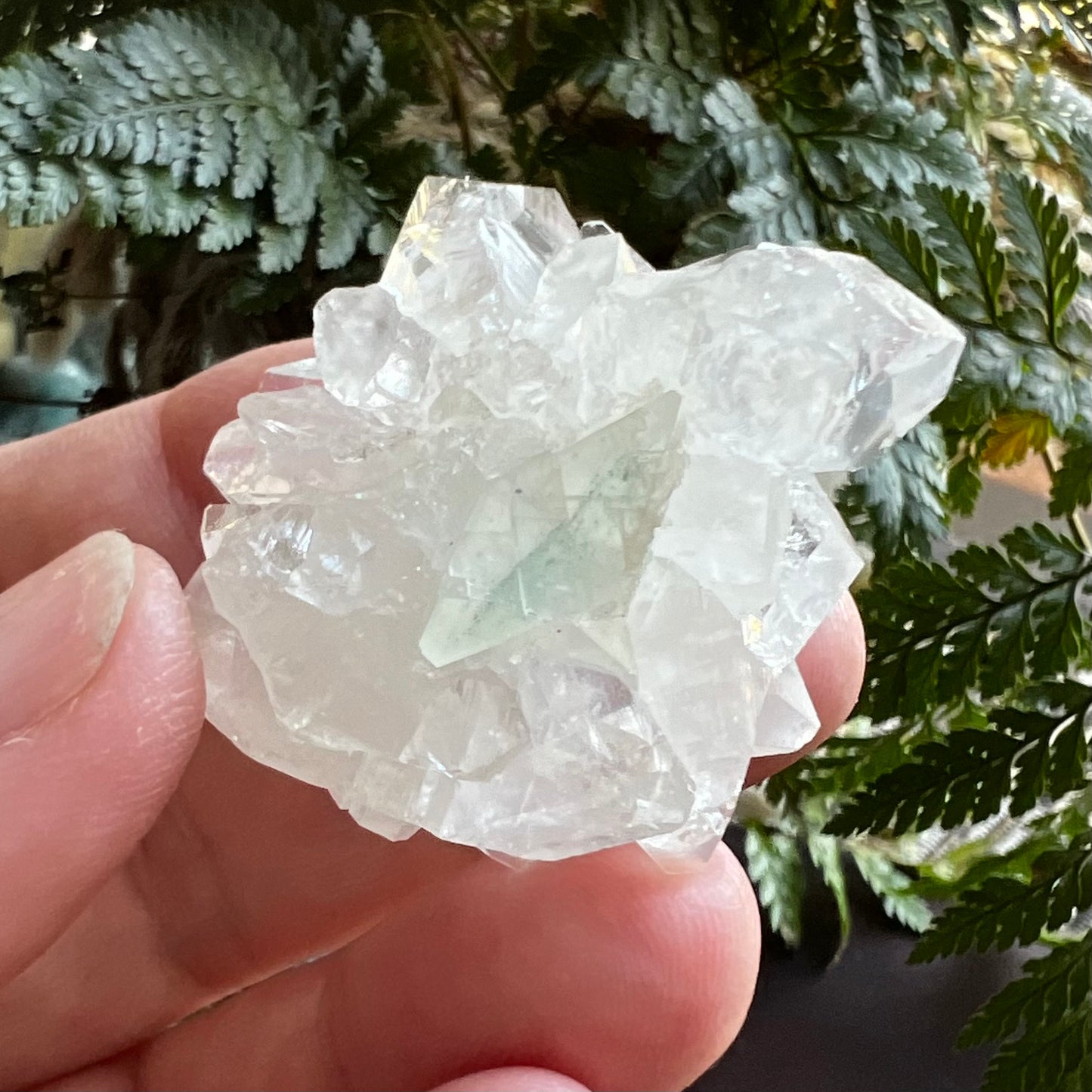 Mirror Apophyllite on Clear Calcite Matrix Cluster - Jalgoan District, Maharashtra, India
