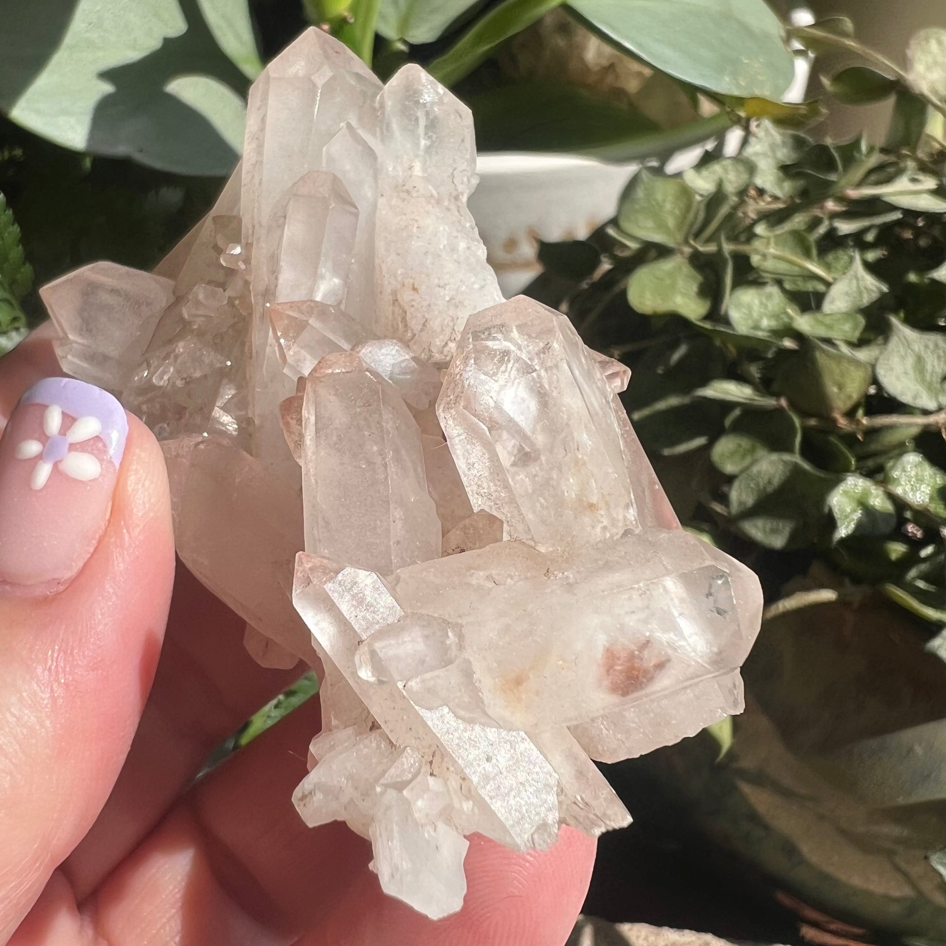 Himalayan Samadhi Pink Quartz Cluster