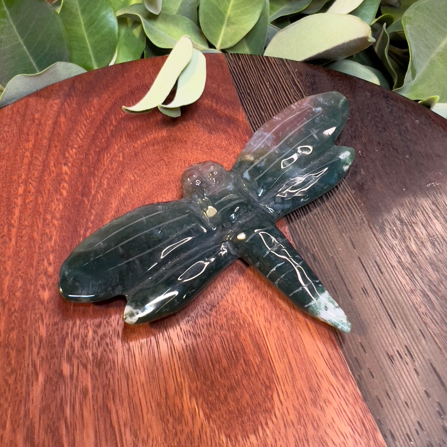 Ocean Jasper Dragonfly (ii)