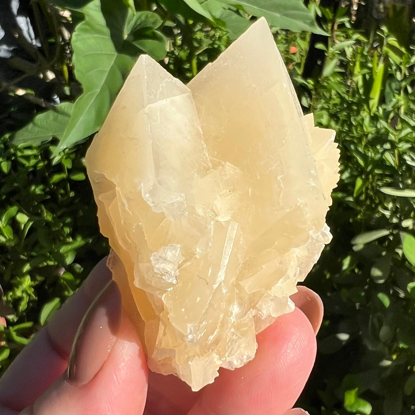 Yellow Calcite Cluster - Yunnan, China