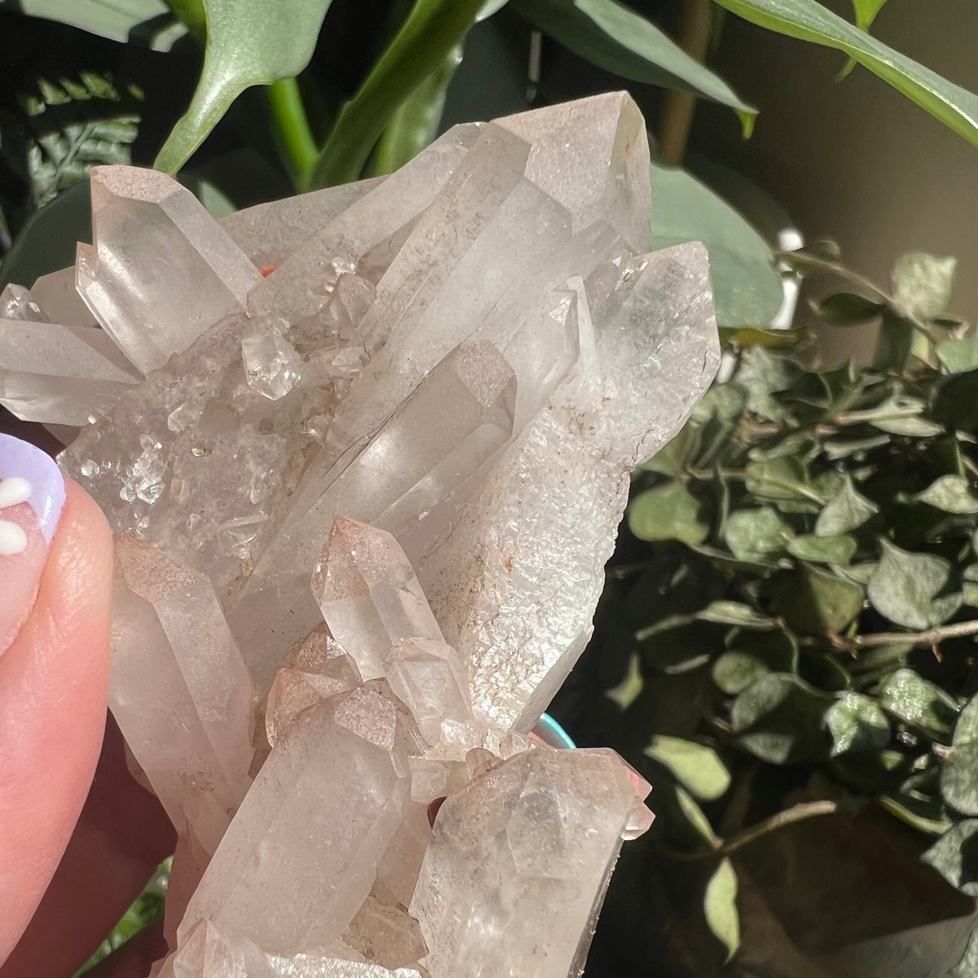 Himalayan Samadhi Pink Quartz Cluster