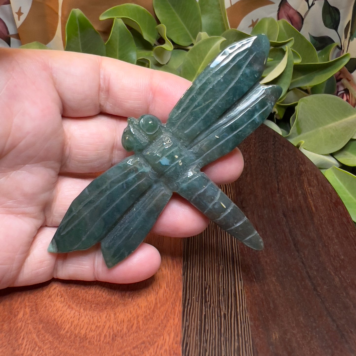 Ocean Jasper Dragonfly (i)