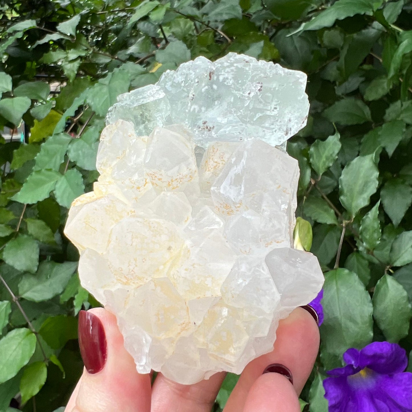 Optical Window Fluorite on chunky Quartz Cluster with golden Hematite