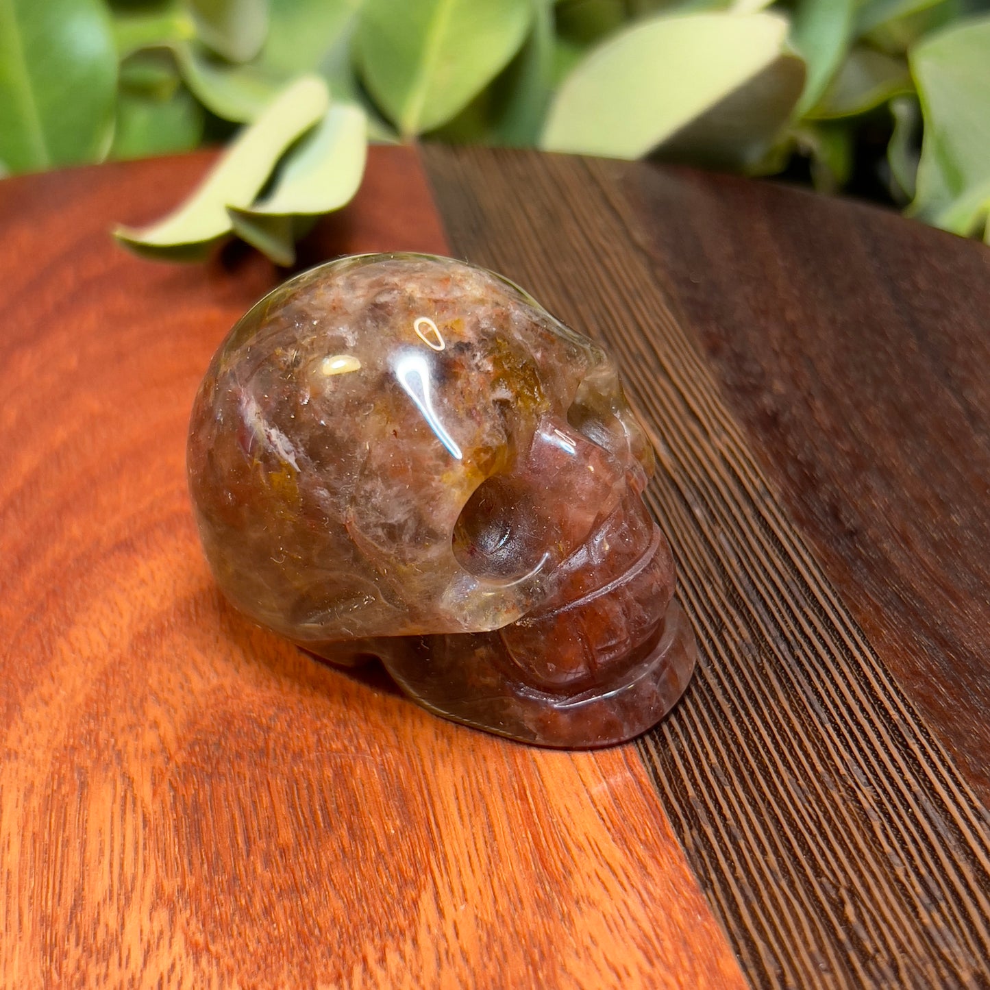 Skull Crystal Carving - Fire Hematite Quartz with Golden Healer sections