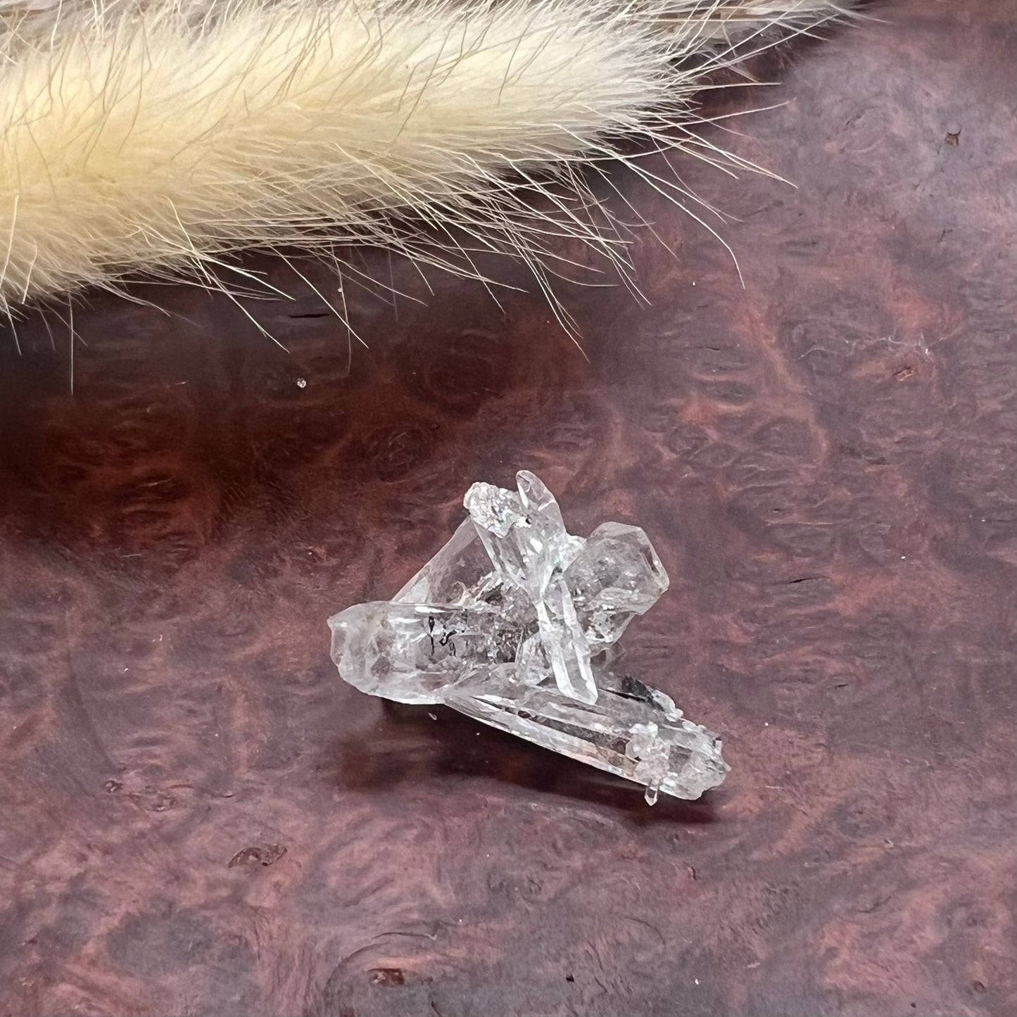 Inclusion 'Inky' Needle Quartz Mini Cluster (i) - Jinkouhe, Sichuan Province, China