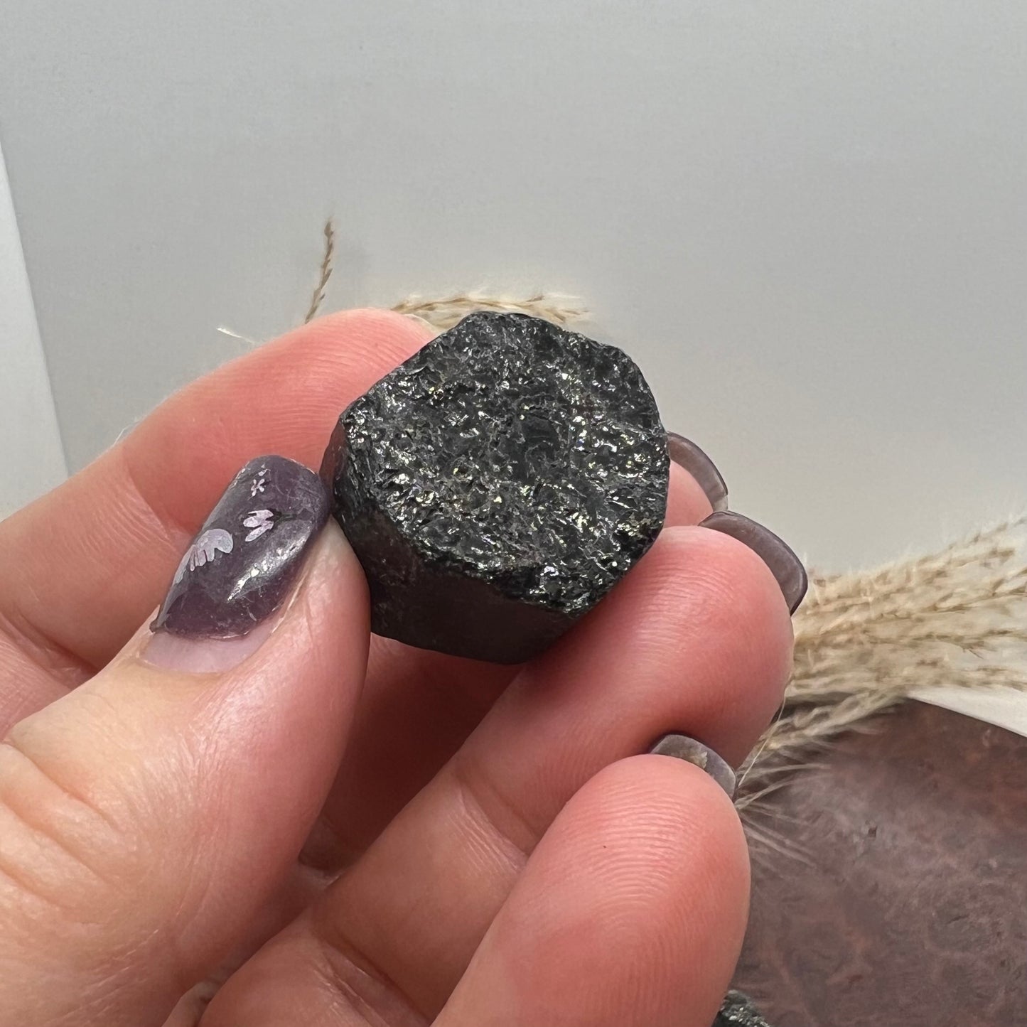 Raw Natural Black Tourmaline (a) - Mercedes Terminated Pocket Rock