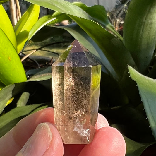 Smoky Quartz Mini Towers