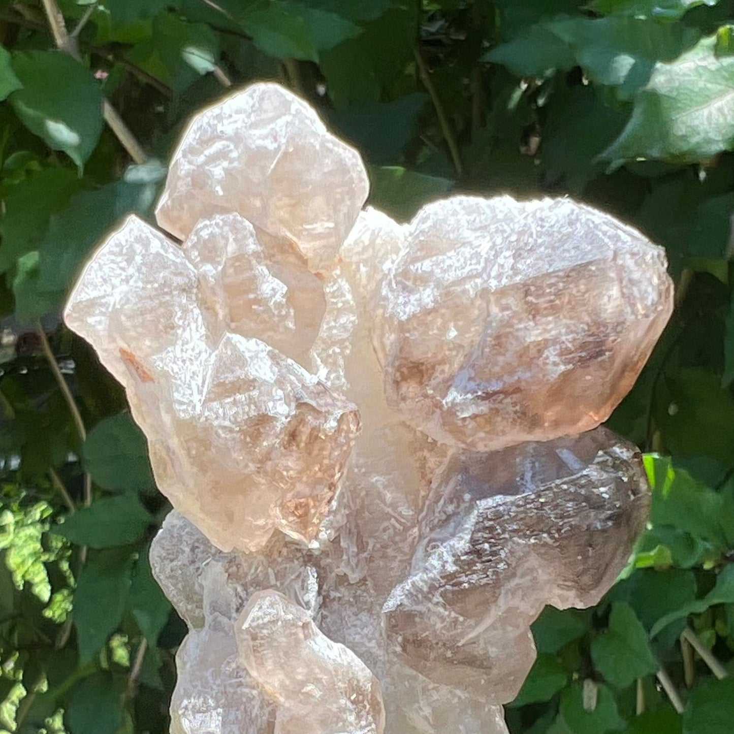 Elestial Stalactite of Clear Quartz with DT Smoky Quartz - Inner Mongolia