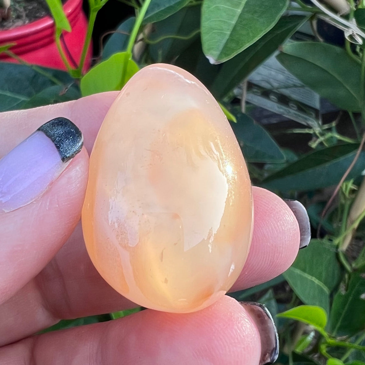 Polished Flower Agate Geode Egg with large Crystalline Druzy Cave