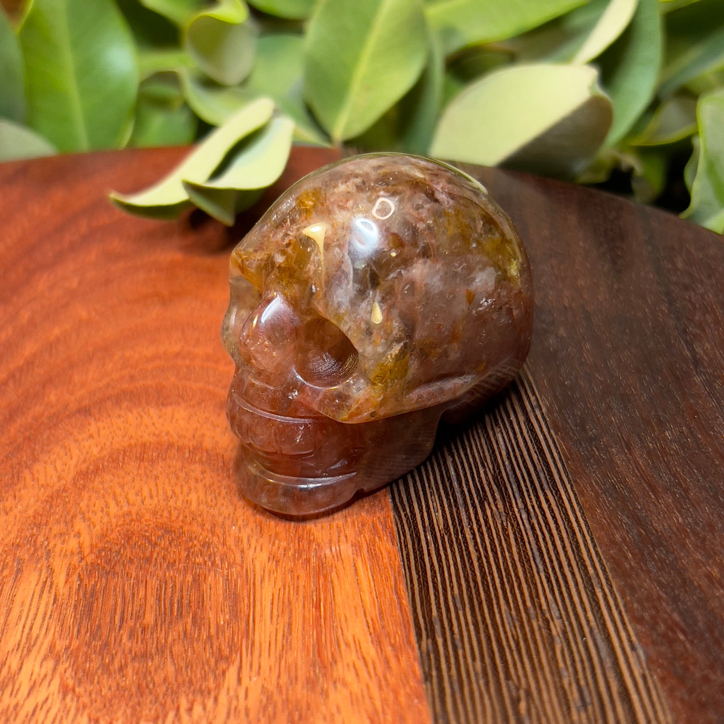 Skull Crystal Carving - Fire Hematite Quartz with Golden Healer sections