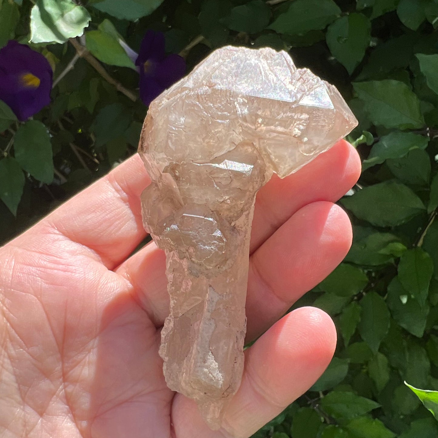 Elestial Stalactite Clear Quartz with Smoky Quartz double-terminated Scepter | Inner Mongolia