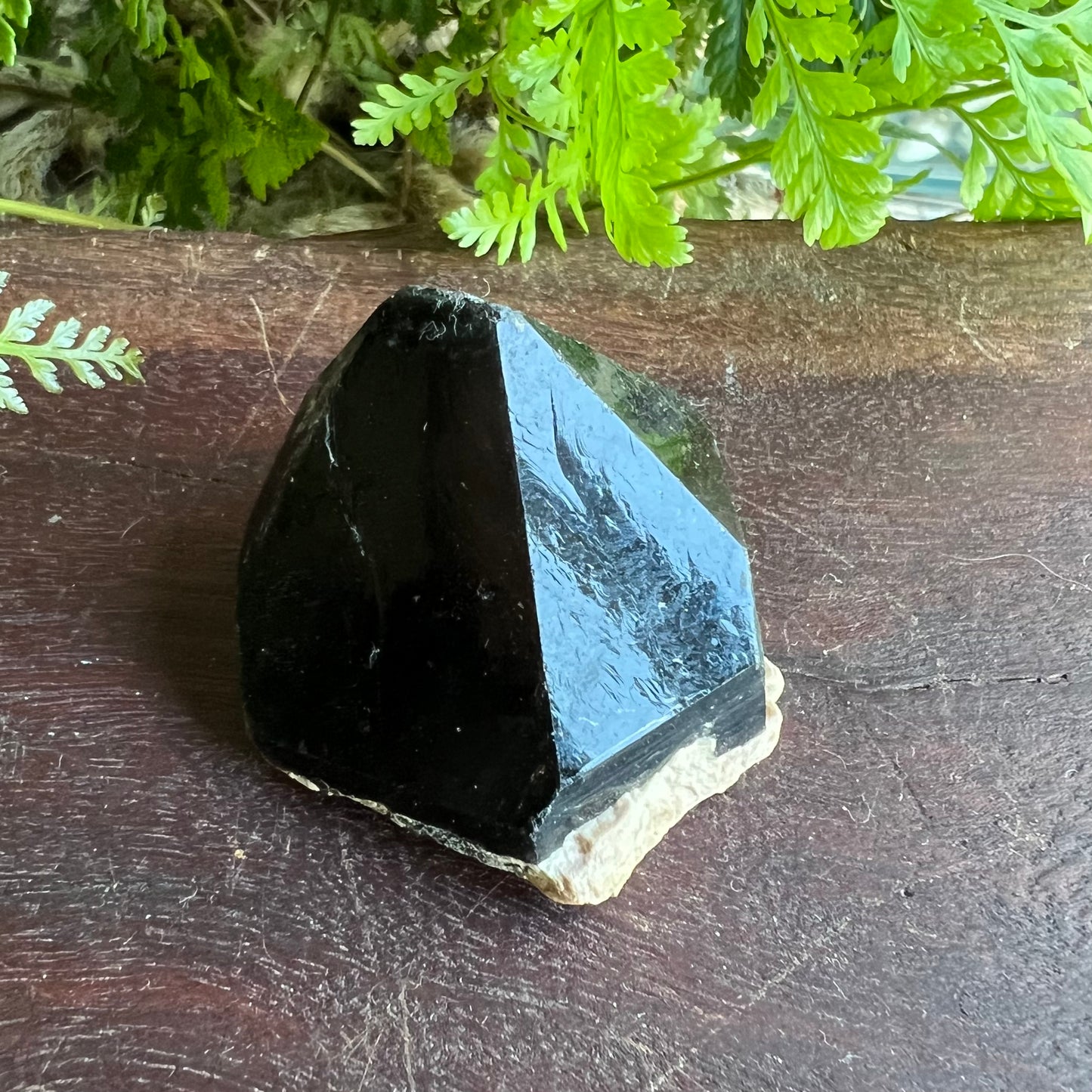 Morion Smoky Quartz Point | Black Quartz | Record Keepers | China