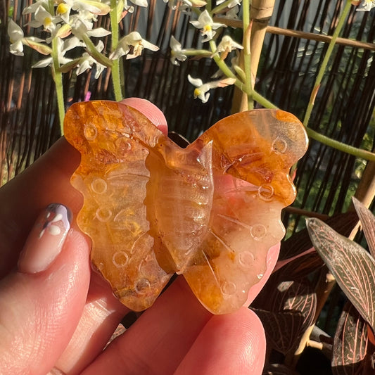Golden Healer Quartz Butterfly carving, Beautiful iron included quartz carved butterfly