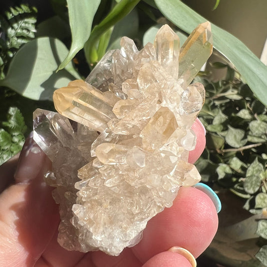 Small Golden Healer Quartz Cluster (Brazil)