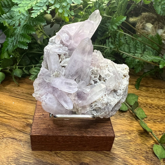 Vera Cruz Amethyst Specimen | A pretty lavender-toned cluster of points in a solid matrix.