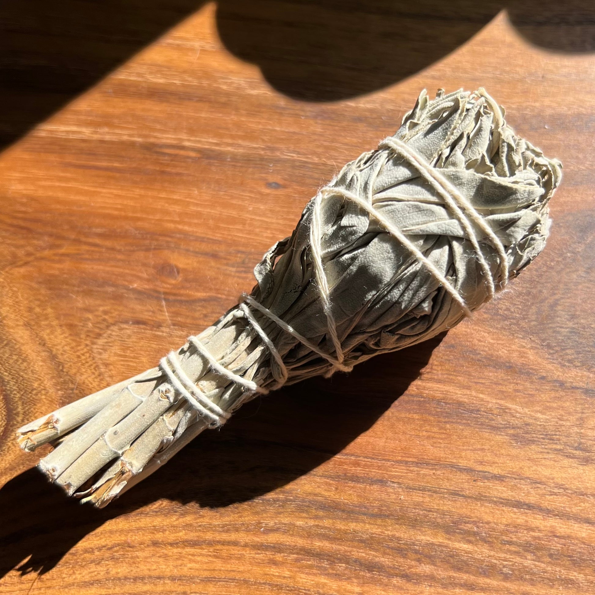 White Sage Smoke Stick with natural leafy tips