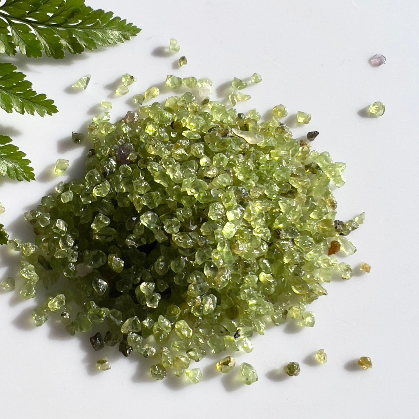 Peridot Crystal Chips (small & naturally rough)
