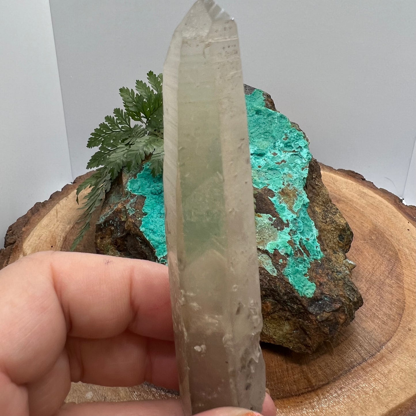 Empathic Warrior Smoky Lemurian Quartz with phantoms, aggregates and keys