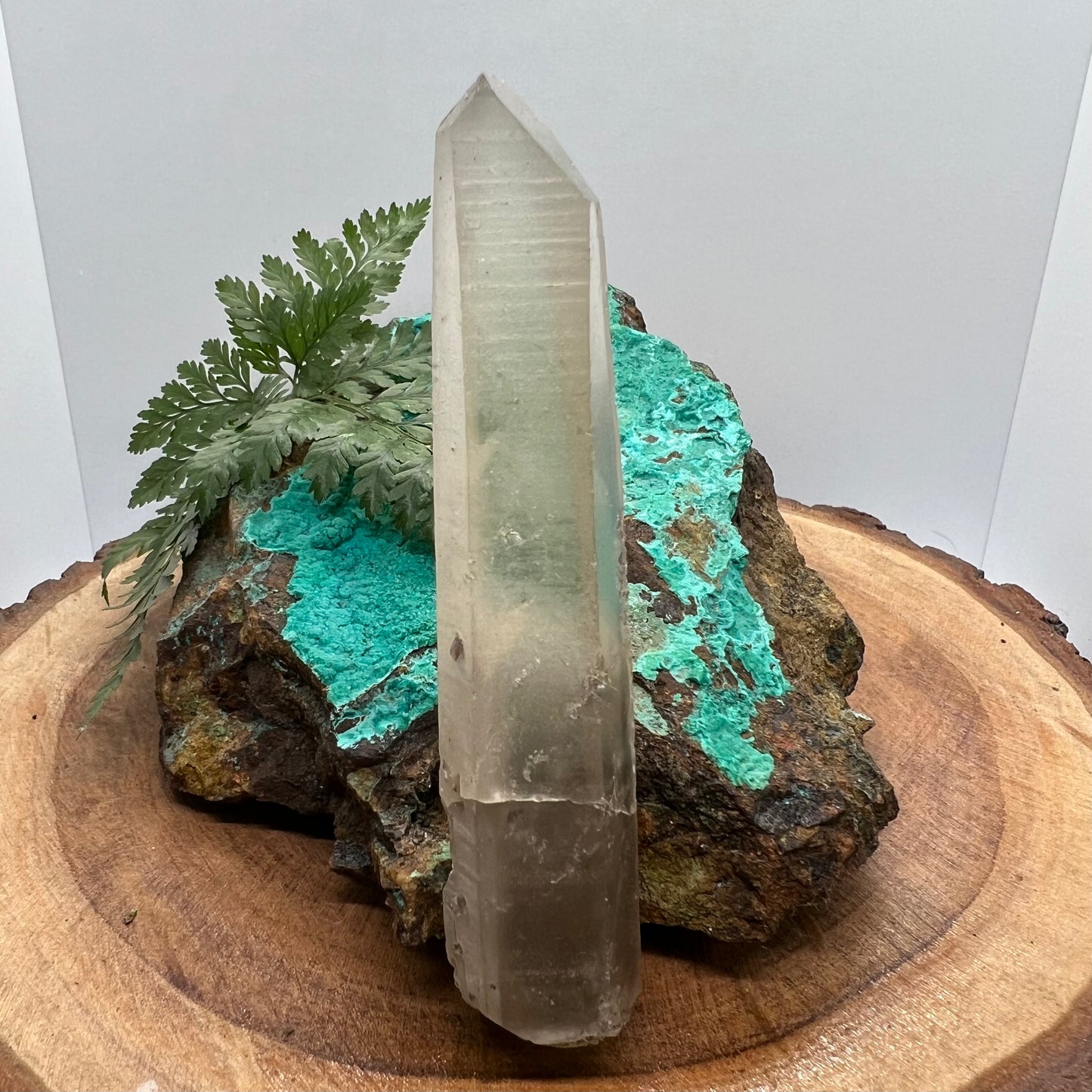 Empathic Warrior Smoky Lemurian Quartz with phantoms, aggregates and keys
