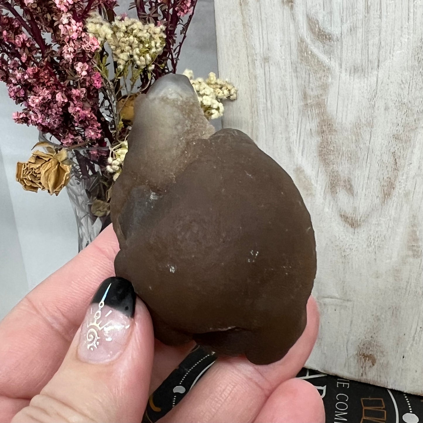 Chalcedony Mamillary Nodules - Truffle Chalcedony - Morocco