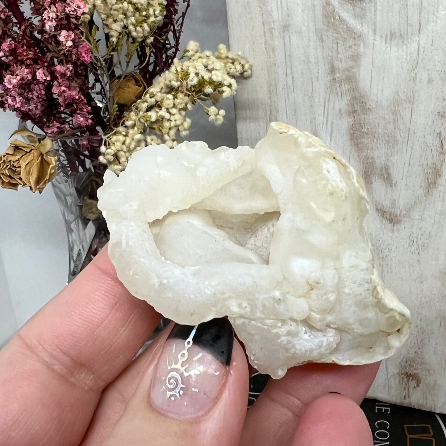 Chalcedony Mamillary Nodules - Botryoidal ‘Womb Stone’ Chalcedony - Morocco