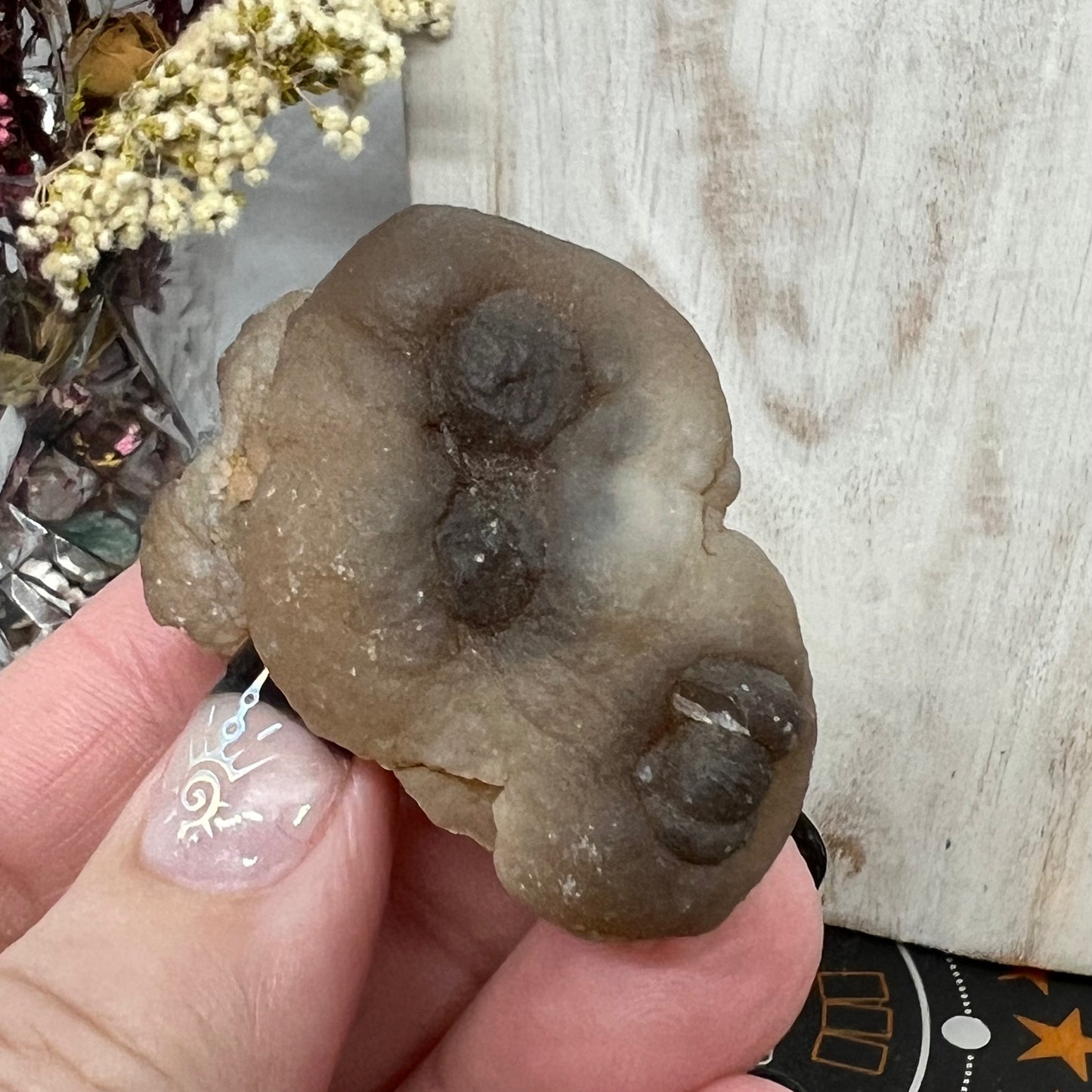 Chalcedony Mamillary Nodules - Truffle Chalcedony - Morocco