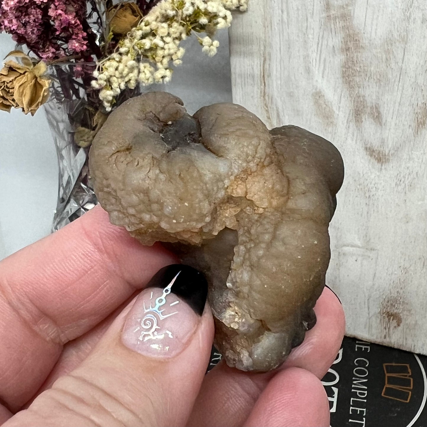Chalcedony Mamillary Nodules - Truffle Chalcedony - Morocco