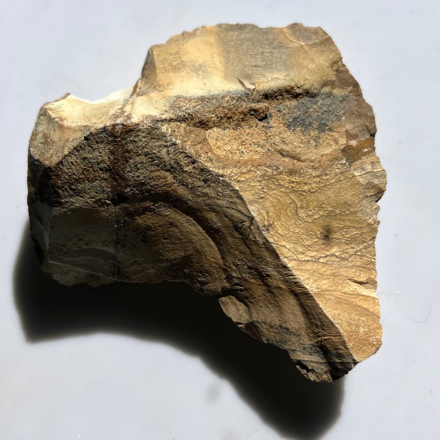 Picture Jasper Rough Specimen