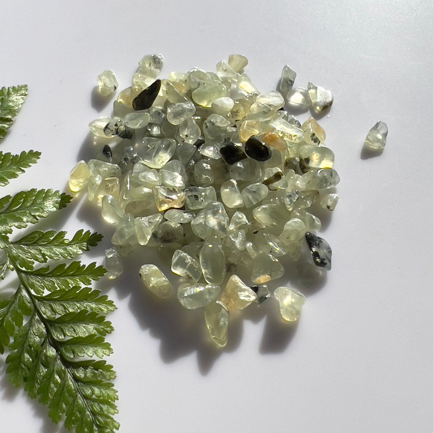 Prehnite Crystal Chips (medium polished)