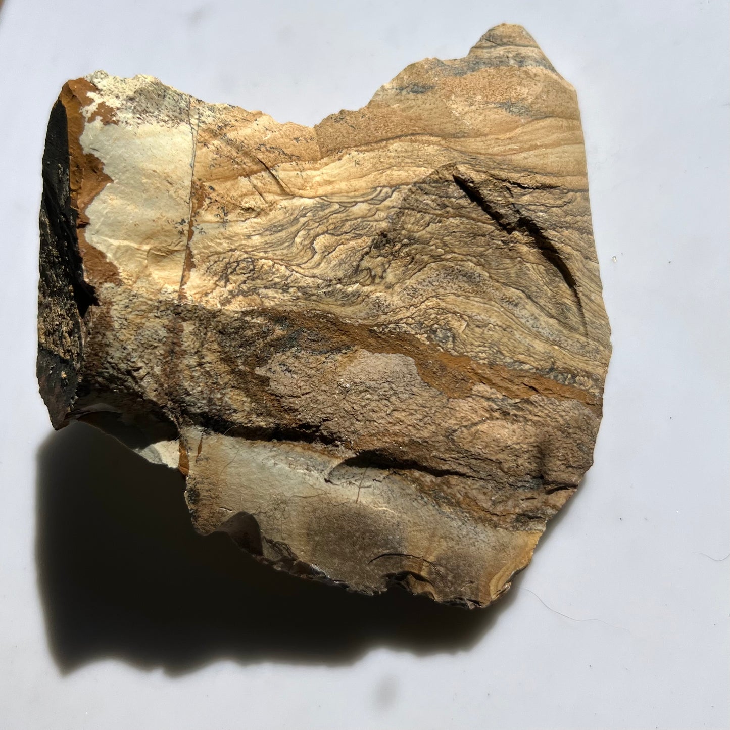 Picture Jasper Rough Specimen