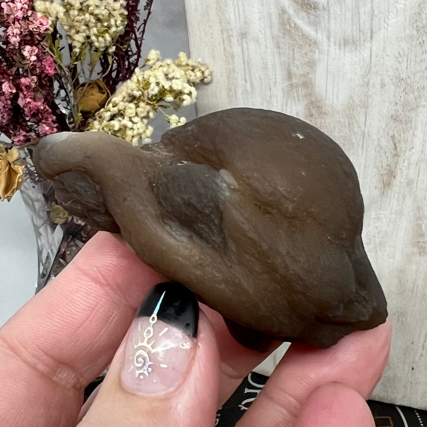 Chalcedony Mamillary Nodules - Truffle Chalcedony - Morocco