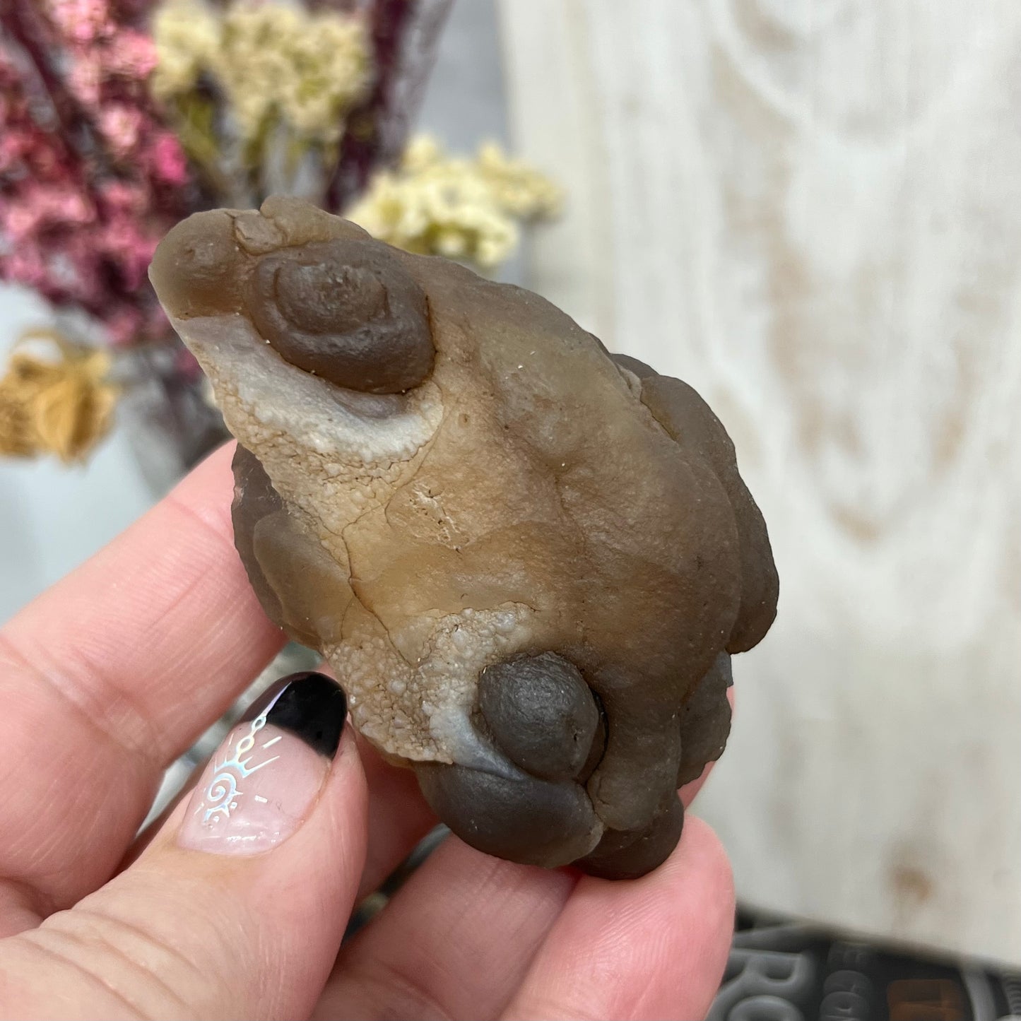 Chalcedony Mamillary Nodules - Truffle Chalcedony - Morocco