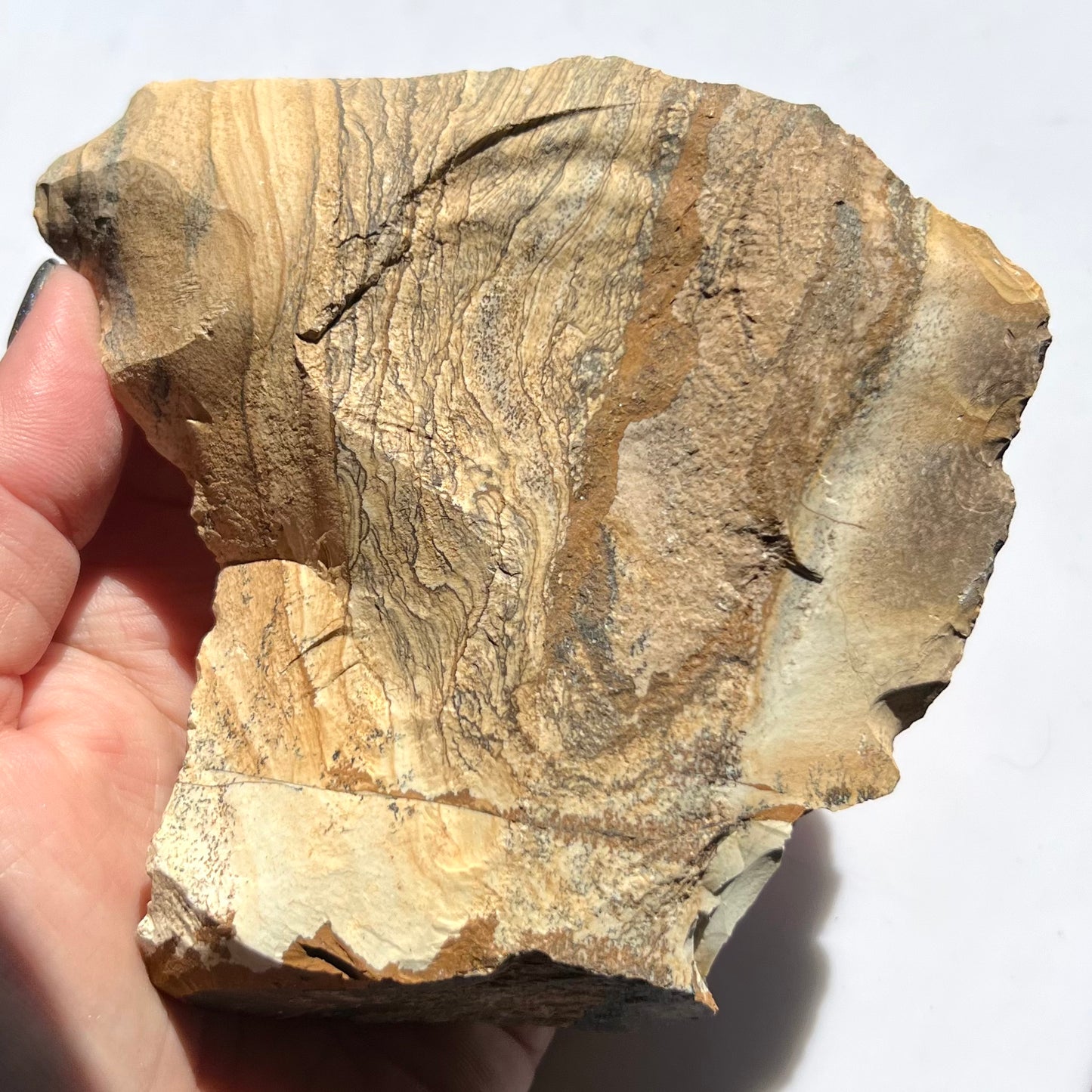 Picture Jasper Rough Specimen
