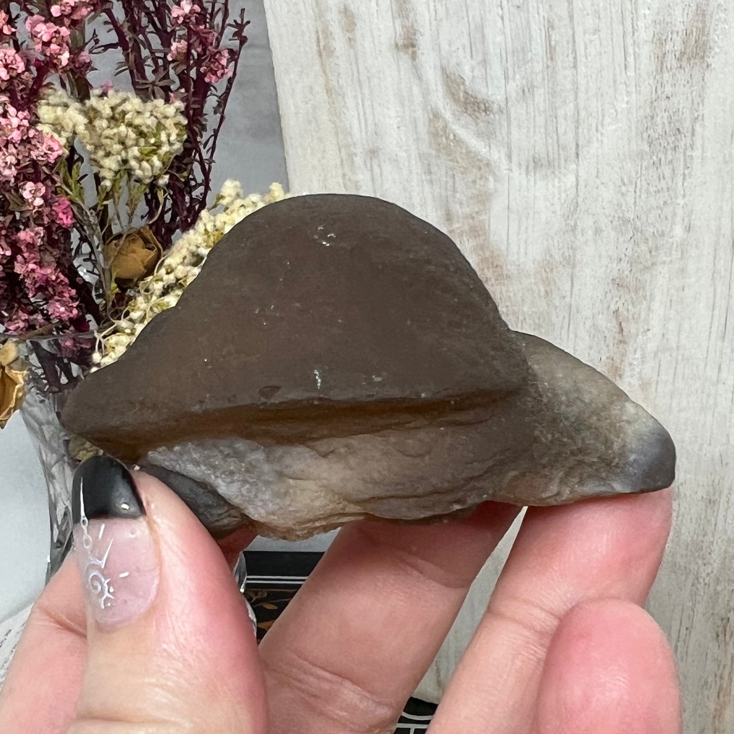 Chalcedony Mamillary Nodules - Truffle Chalcedony - Morocco