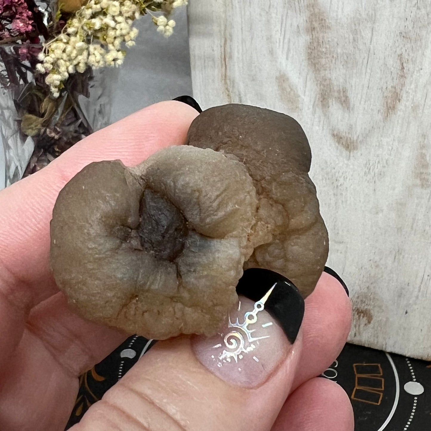 Chalcedony Mamillary Nodules - Truffle Chalcedony - Morocco