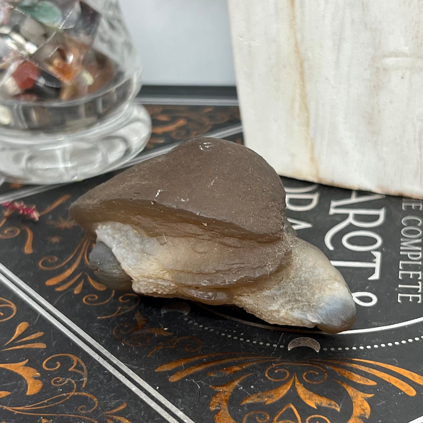 Chalcedony Mamillary Nodules - Truffle Chalcedony - Morocco