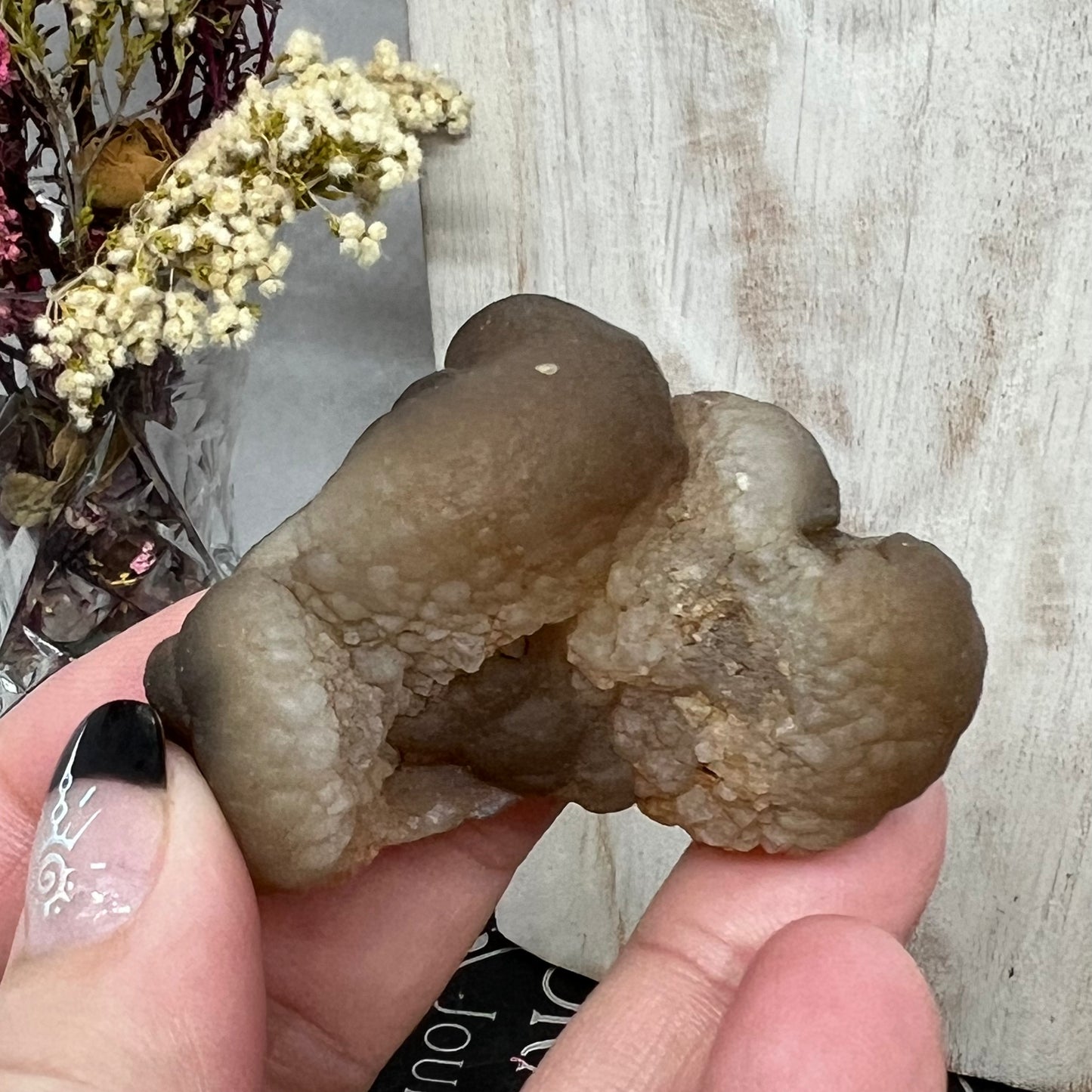 Chalcedony Mamillary Nodules - Truffle Chalcedony - Morocco
