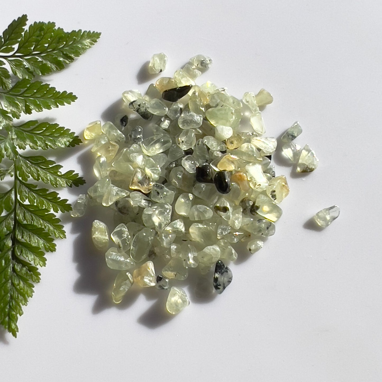Prehnite Crystal Chips (medium polished)