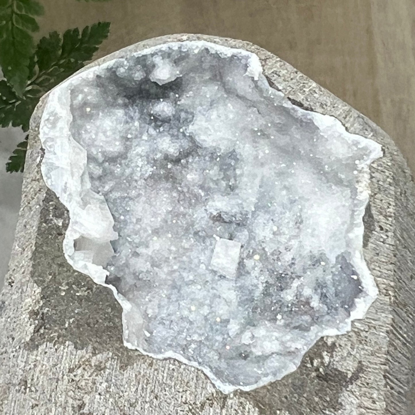 Geode Apophyllite Cluster Specimen on Matrix Zeolite