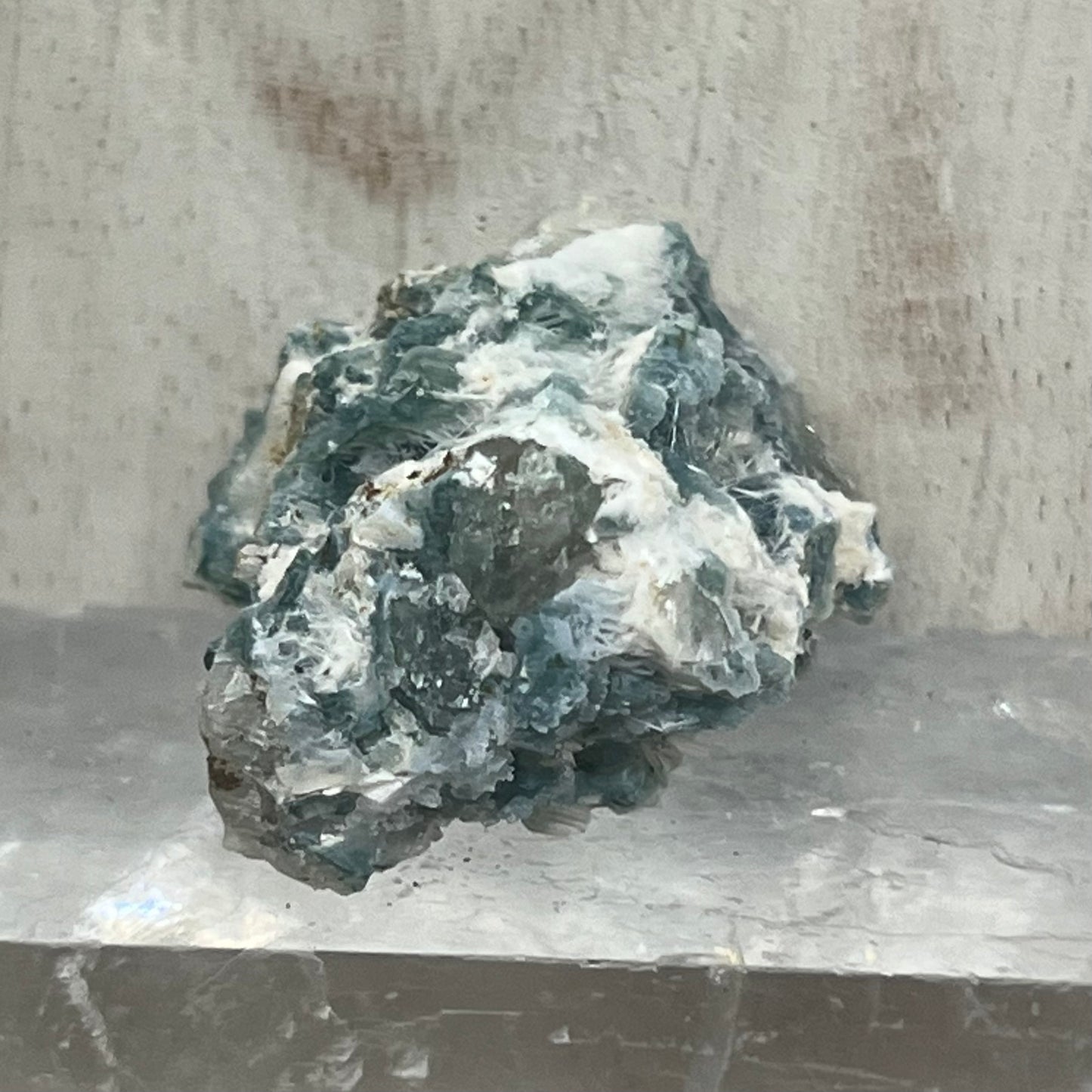 Green Chalcedony Coral Specimen with Okenite (GC2)