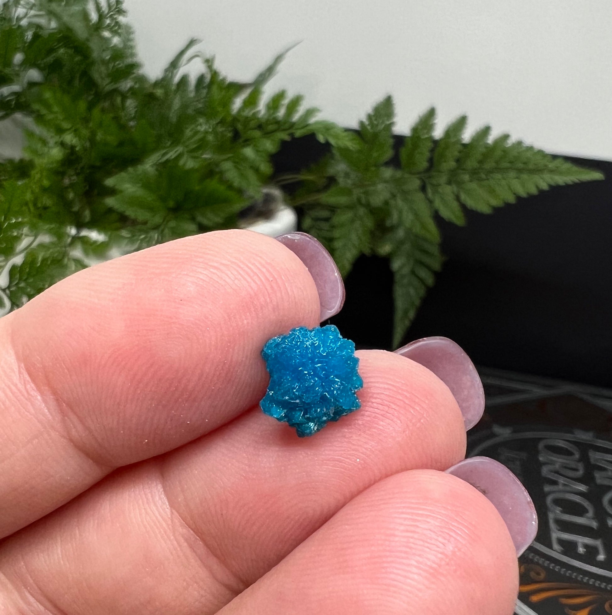 Cavansite - High grade independent 'flower' specimens - no matrix